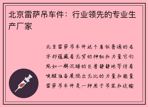 北京雷萨吊车件：行业领先的专业生产厂家