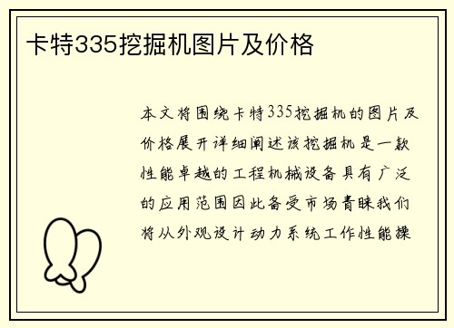 卡特335挖掘机图片及价格