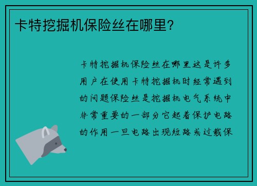 卡特挖掘机保险丝在哪里？