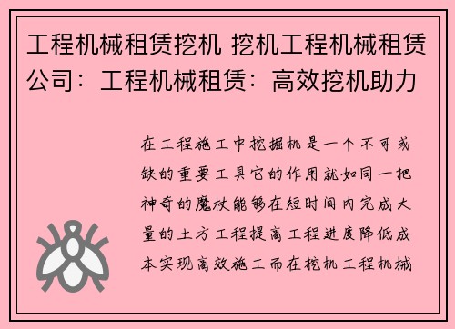 工程机械租赁挖机 挖机工程机械租赁公司：工程机械租赁：高效挖机助力您的项目